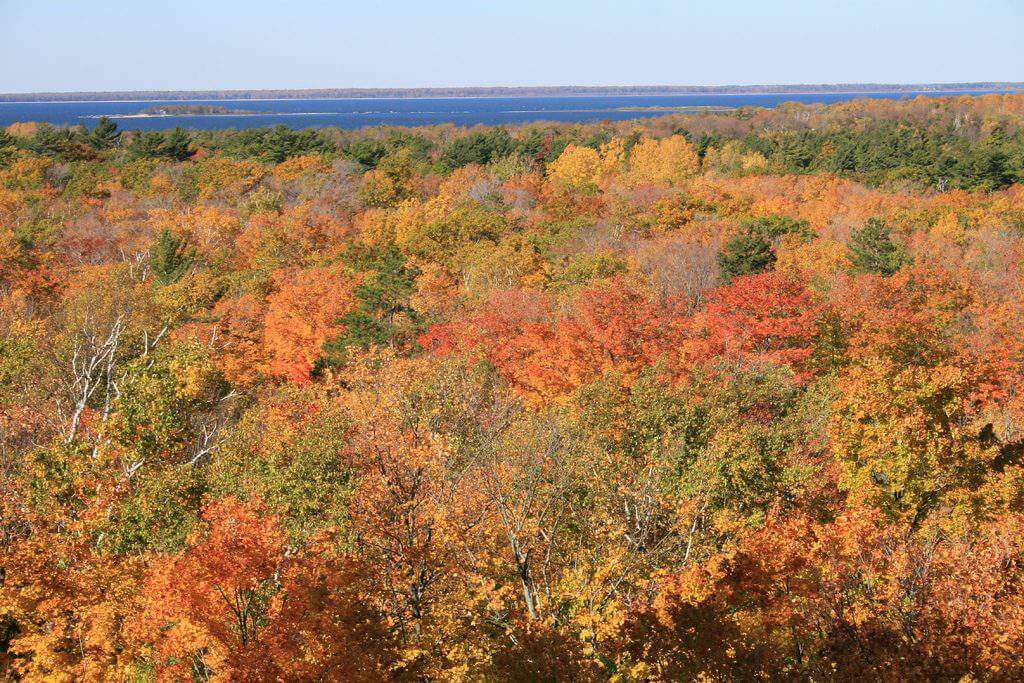 Where to See Leaves Change Color Illinois-Kids Are A Trip