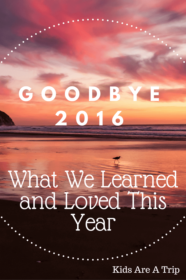 goodbye 2016-Kids Are A Trip