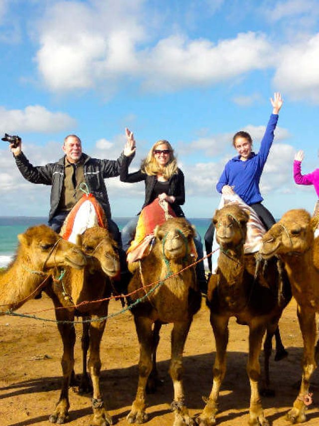 Family Friendly Things to Do in Tangier Morocco Ride a Camel-Kids Are A Trip