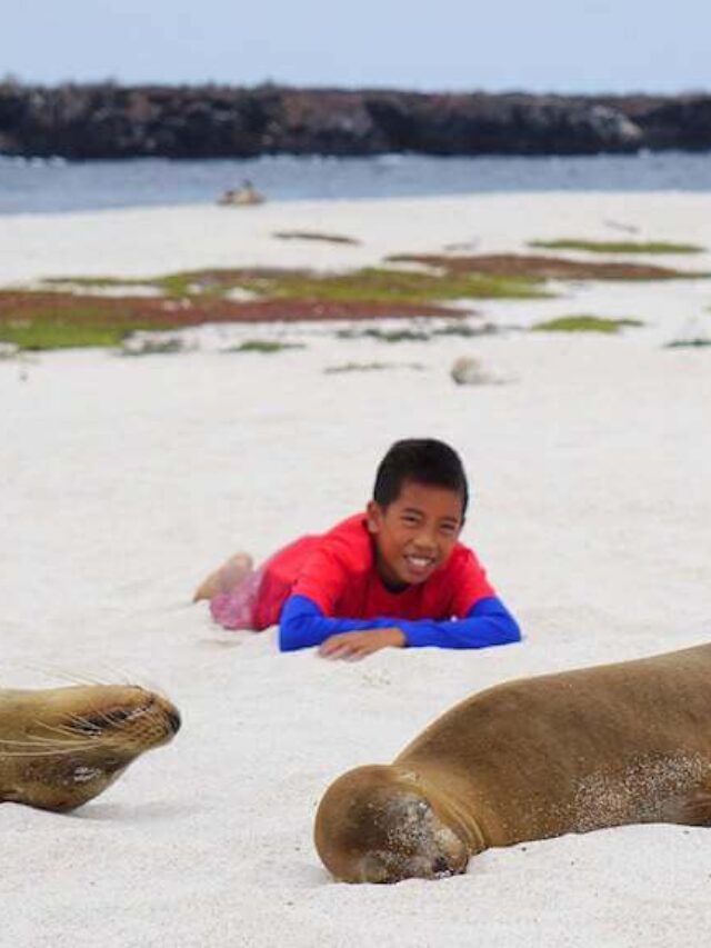 Best Places to Travel with Kids Galapagos Isole-de-Mosquera-Kids Are A Trip