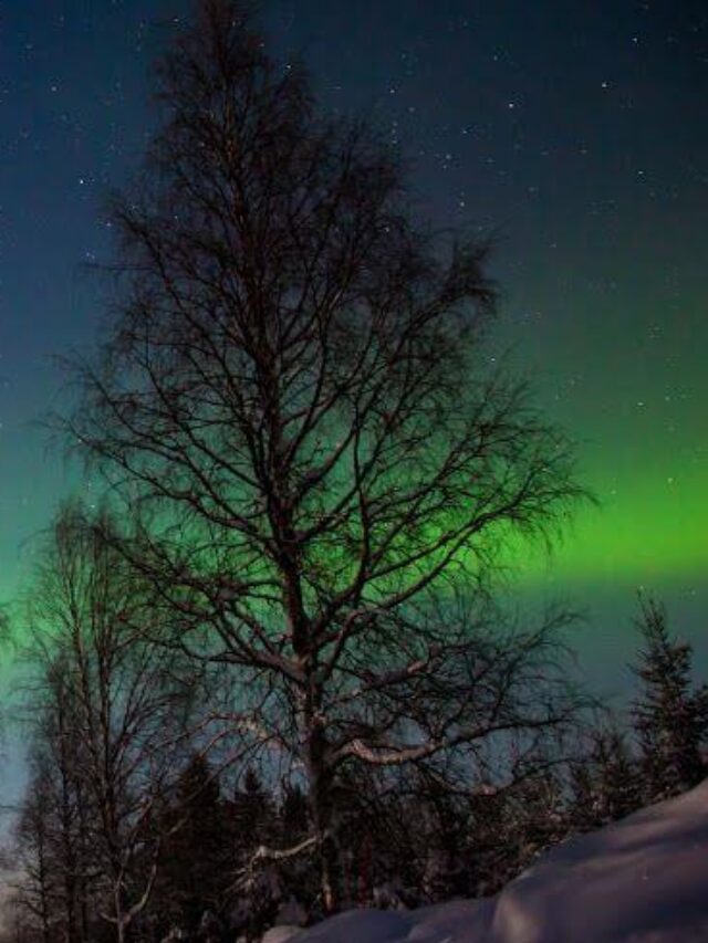 Northern-Lights-Finland-Lapland-Northern-Lights-Kids-Are-A-Trip