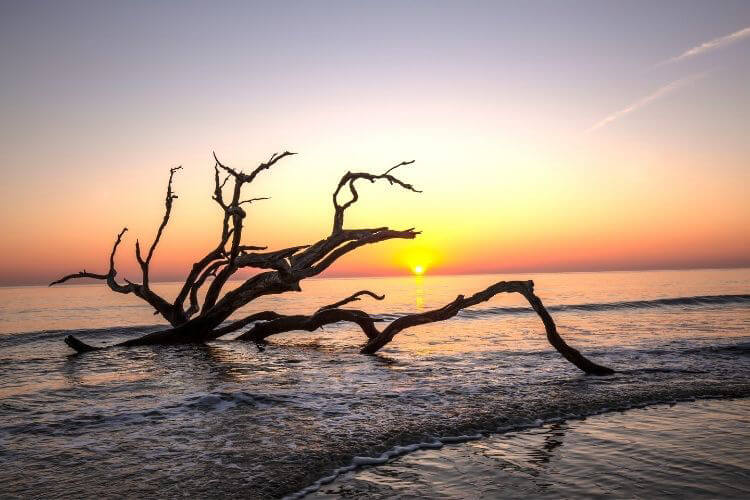 Sea Island Georgia-Kids Are A Trip