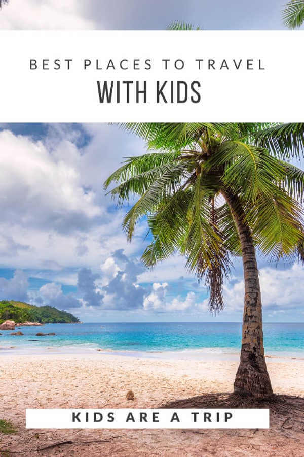 Bahamas beach with palm tree-Kids Are A Trip