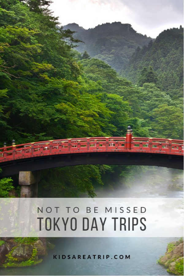 Easy Day Trip from Tokyo-Kids Are A Trip