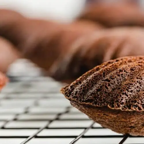 Chocolate Orange Madeline Cookies