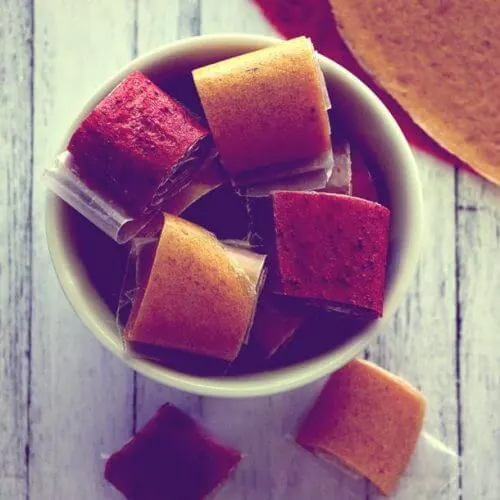 Fruit Leather Recipe