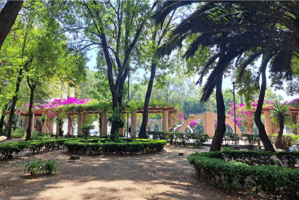 Condesa neighborhood Mexico City park