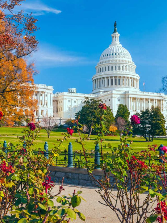 Autumn Washington DC