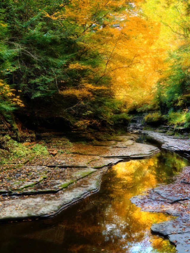 Watkins Glen State Park Fall in NY