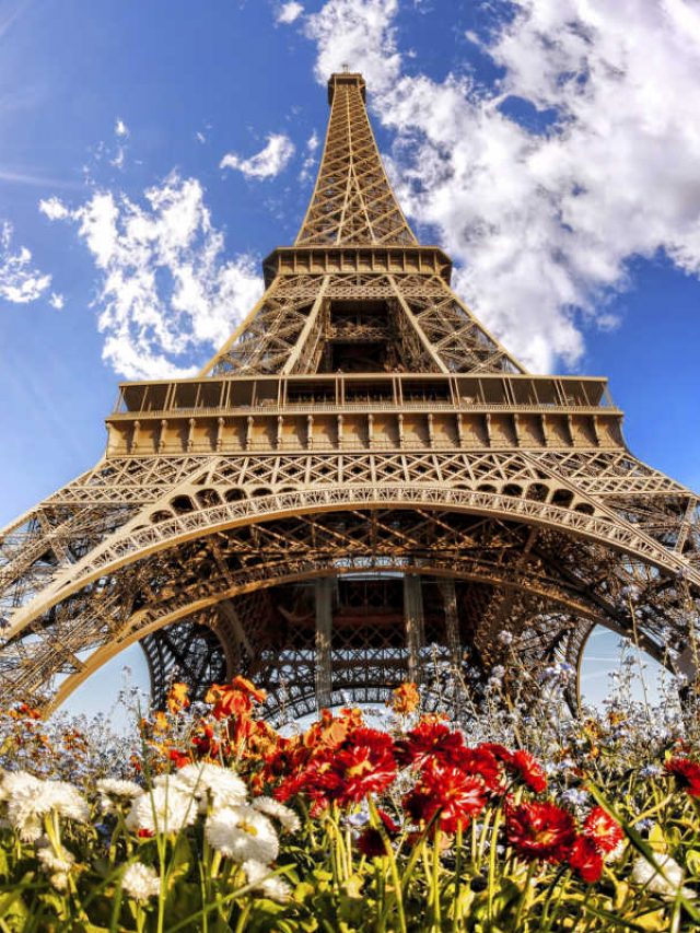 cropped-Eiffel-Tower-with-flowers.jpg