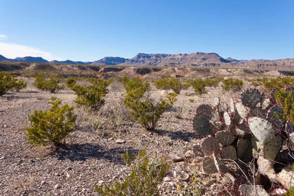 Big Bend Ranch