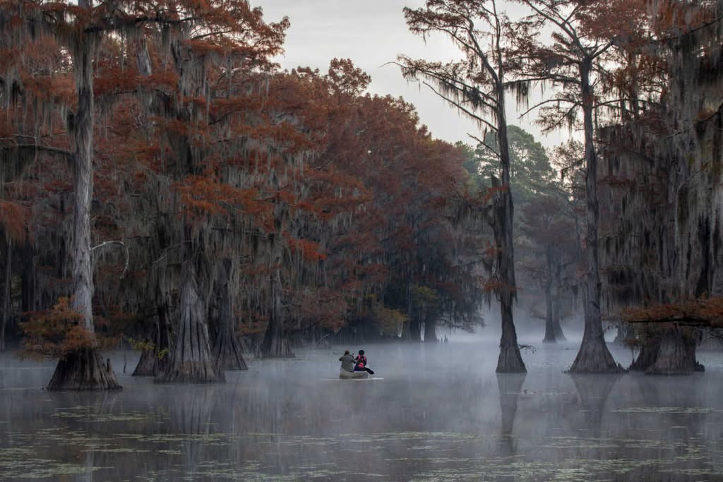 Caddo Lake State Park
