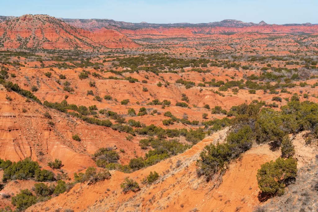 Caprock Canyons viewpoint