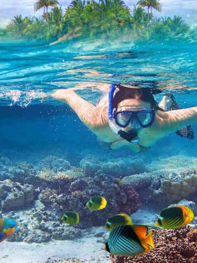 A woman underwater snorkeling and looking at the bright fish.