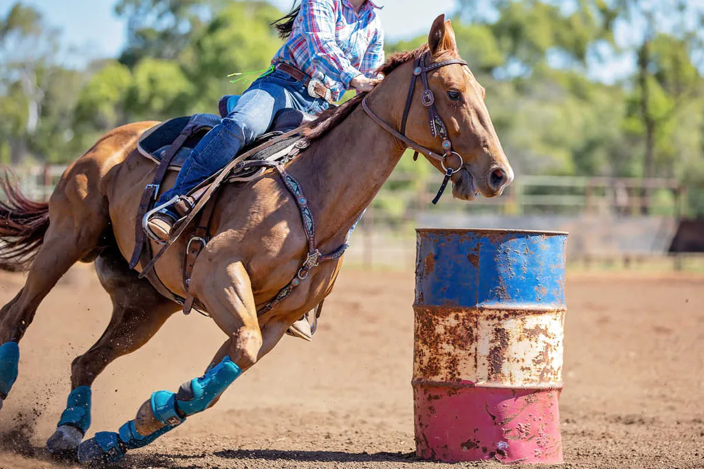 Rodeo barrel racing