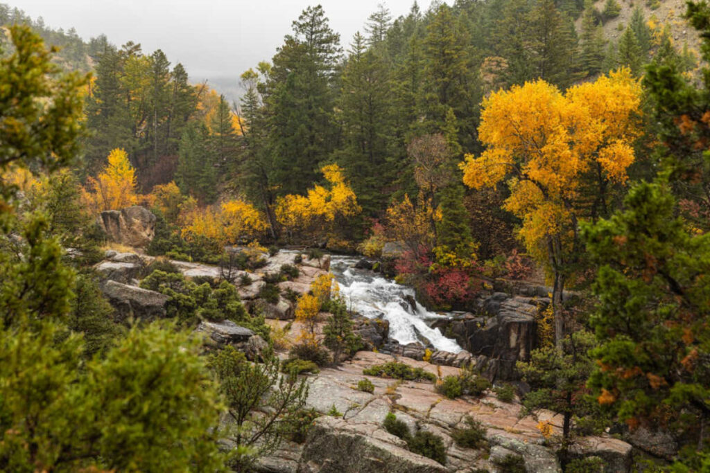 Wyoming Fall Nature