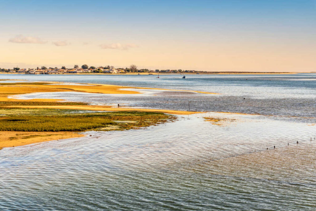 Ria Formosa park