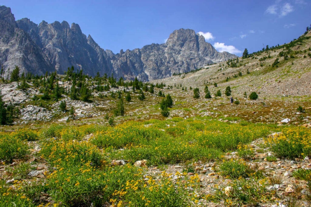 Sawtooth Mountains Sun Valley Idaho