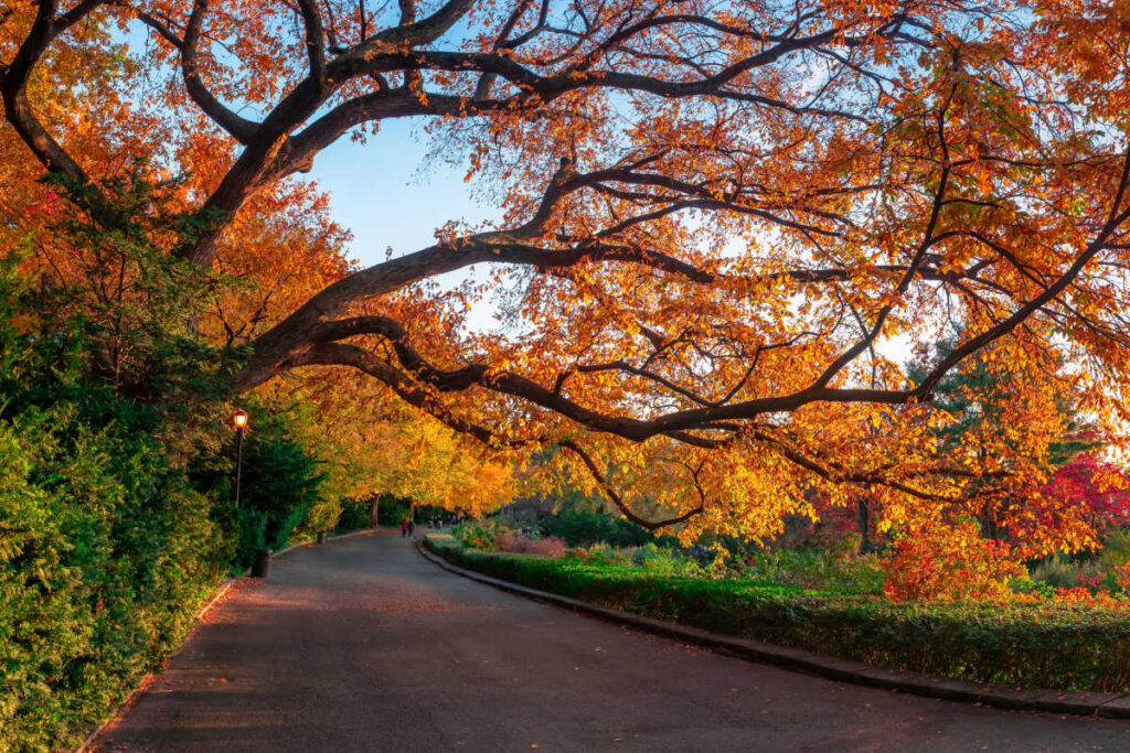 Fort Tryon Park New York