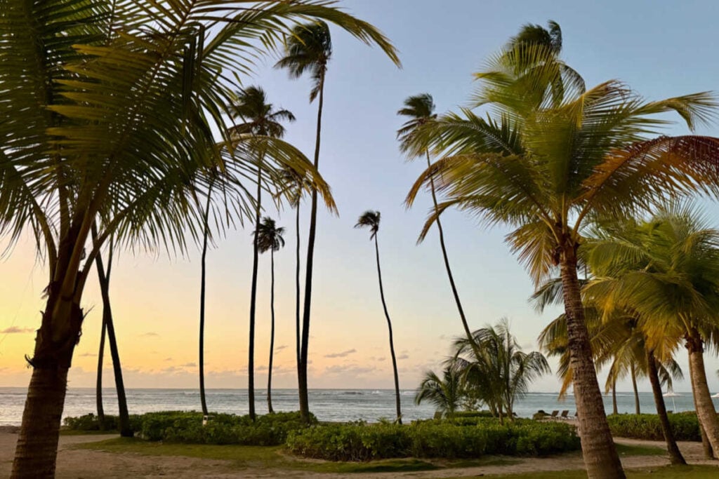 View from King Patio