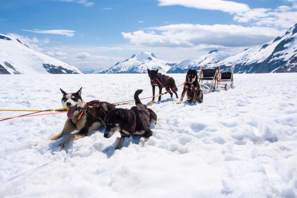 Alaska Dog Sledding