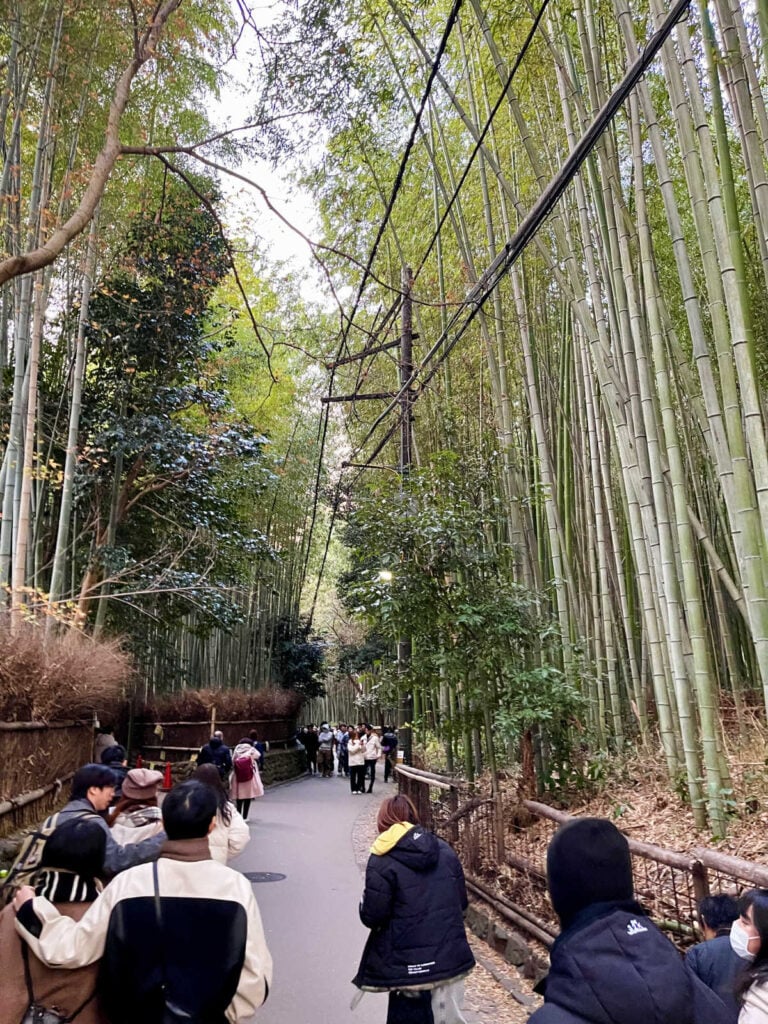 Arashiyama Bamboo Forest