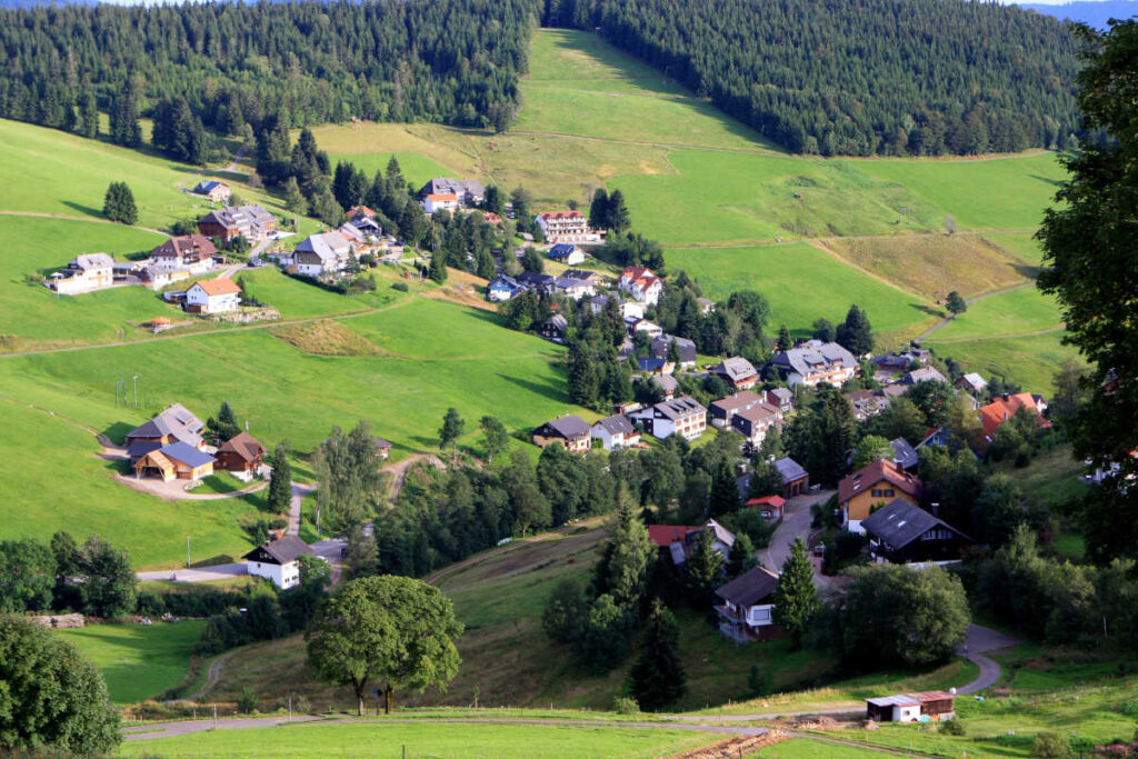 Black Forest Germany summer