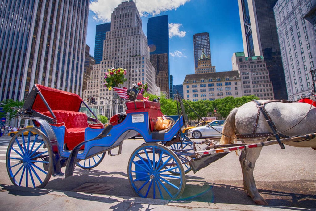 Carriage ride NYC for couples