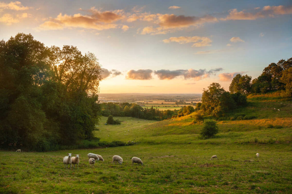 Cotswolds sunset