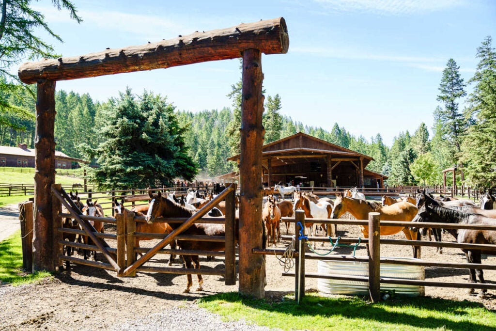 Flat Head Lake Lodge Dude Ranch horses corral