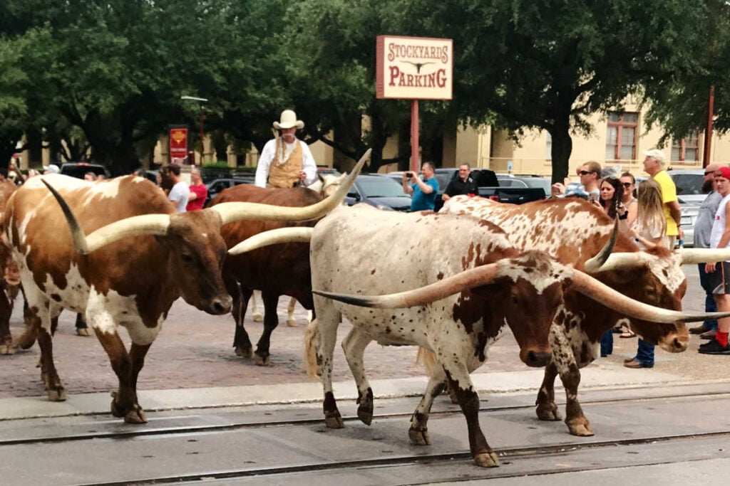 Fort Worth stockyards