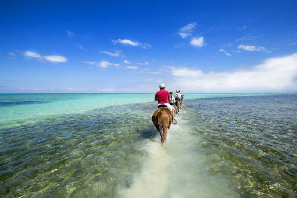 Grand Cayman horseback riding on beach