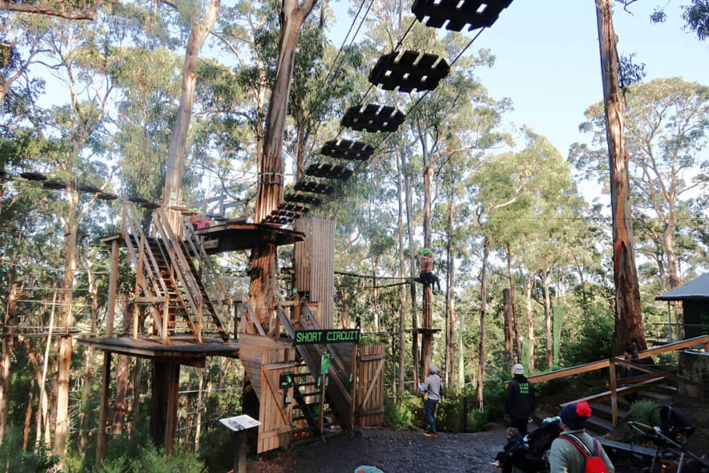 Live Wire Park things to do on the Great Ocean Road