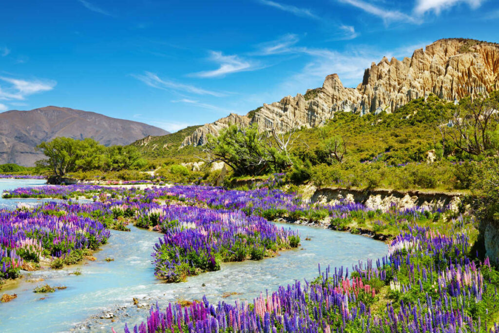 Clay Cliffs New Zealand