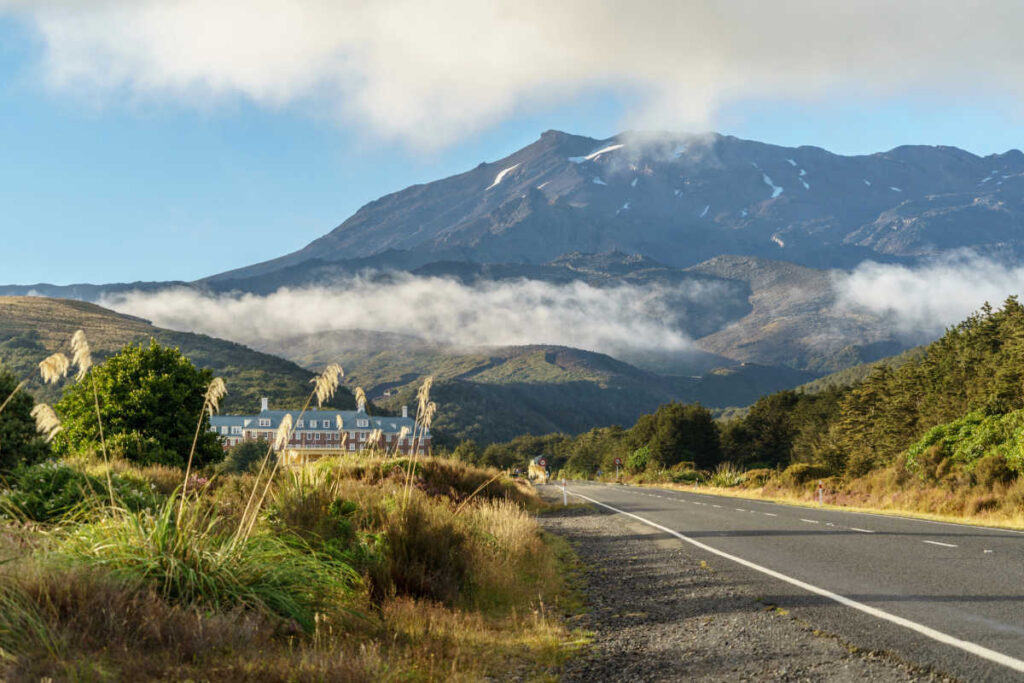 New Zealand road trip