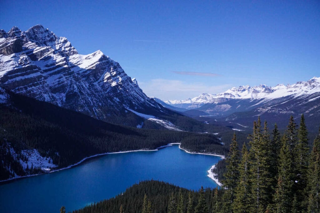Peyto Lake - Banff National Park
