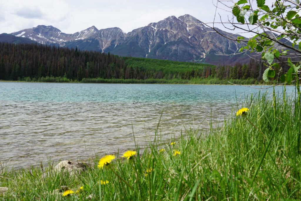 Pyramid Mountain - Jasper National Park