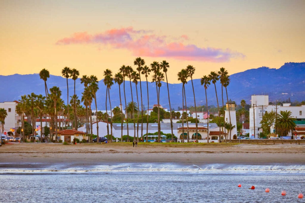 Santa Barbara ocean palm trees