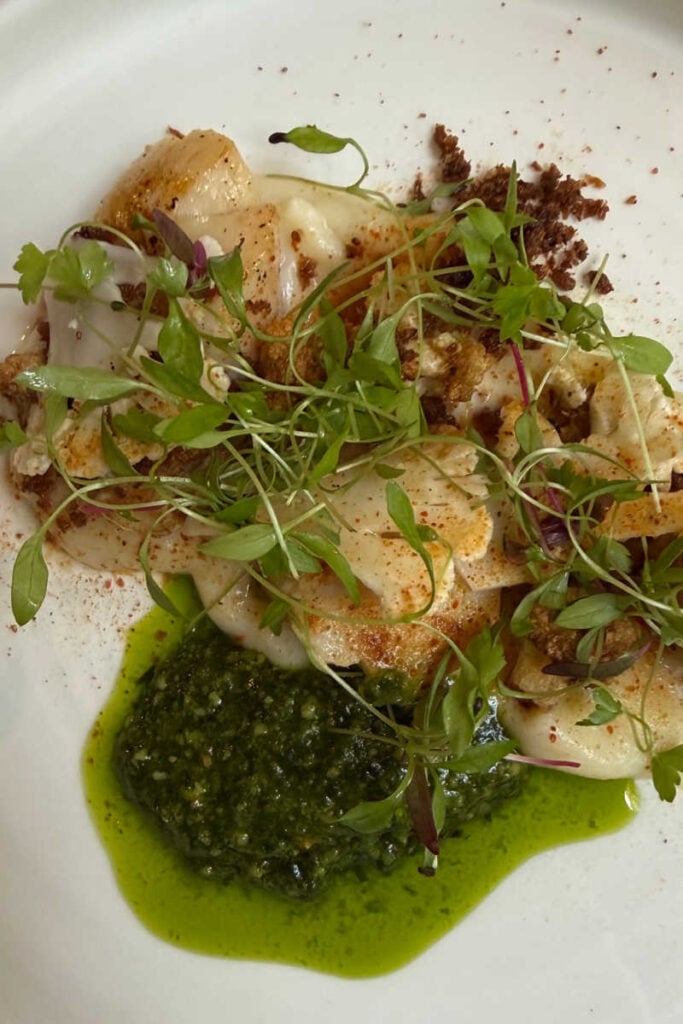 Scallops