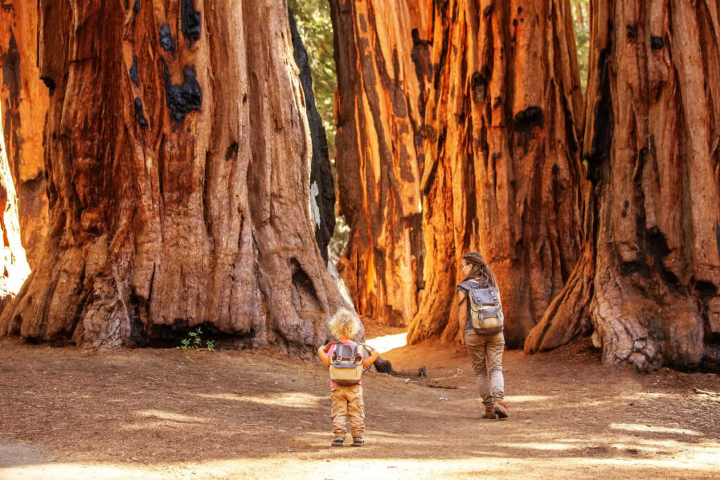 Sequoia National Park hiking