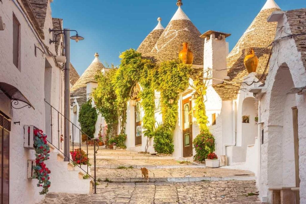 Stone houses of Alberobello Italy cat