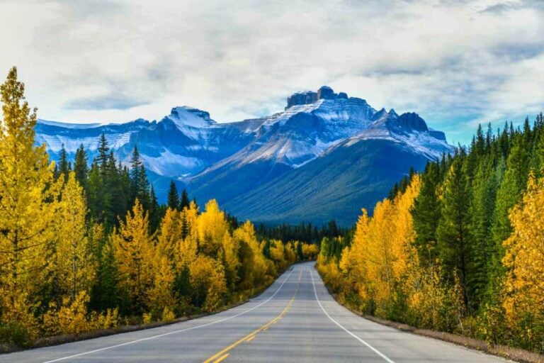 Stops Along the Icefields Parkway