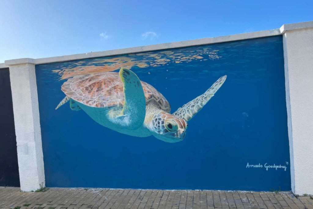 Street Art Aruba