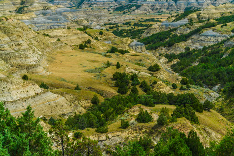 Theodore Roosevelt NP South Dakota