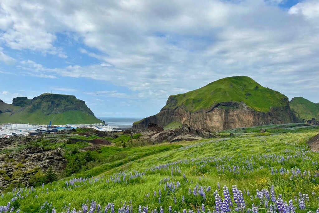 Westfjords Iceland