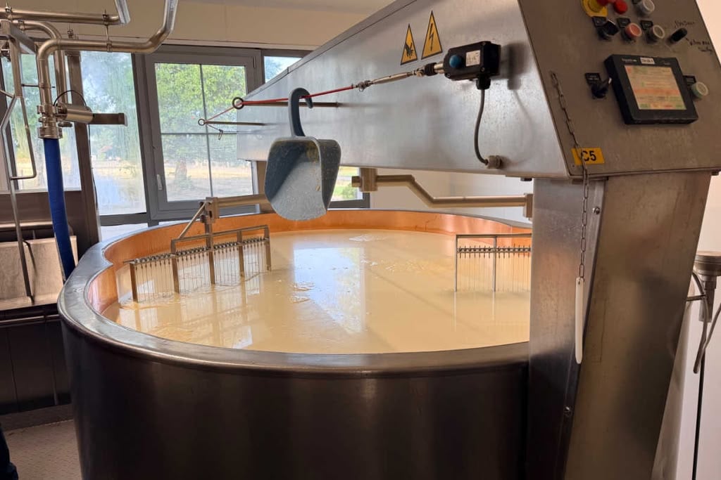 Cheese making machine