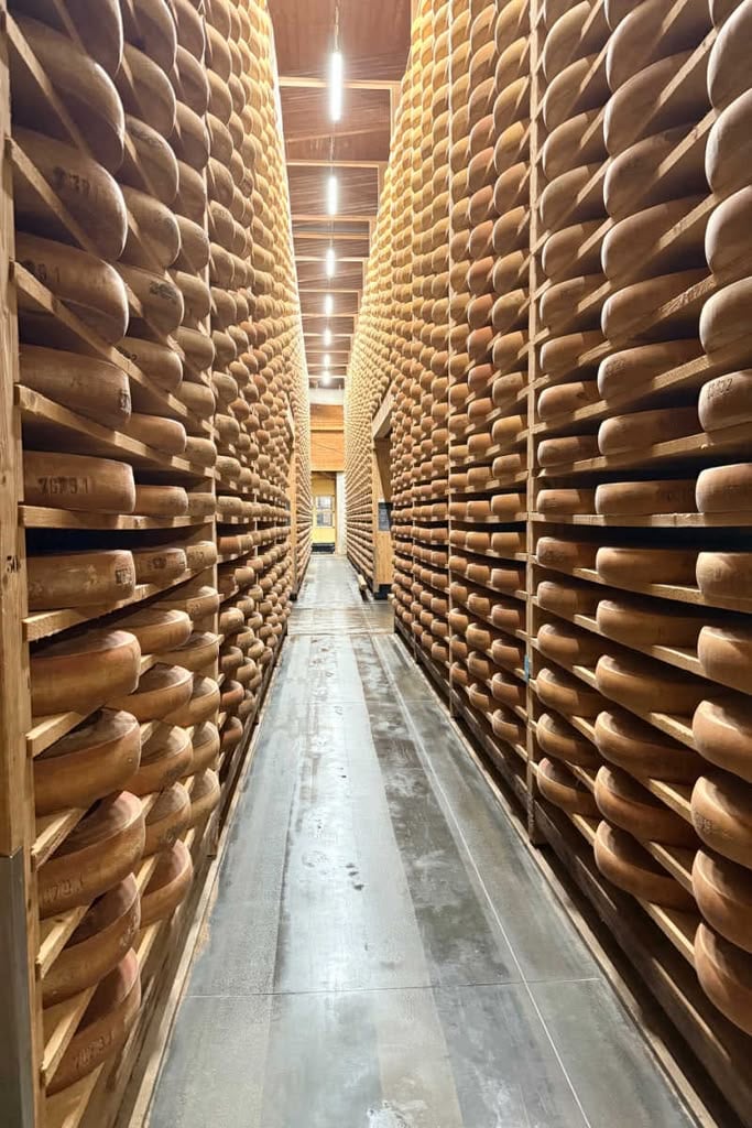 Floor to ceiling Comte cheese