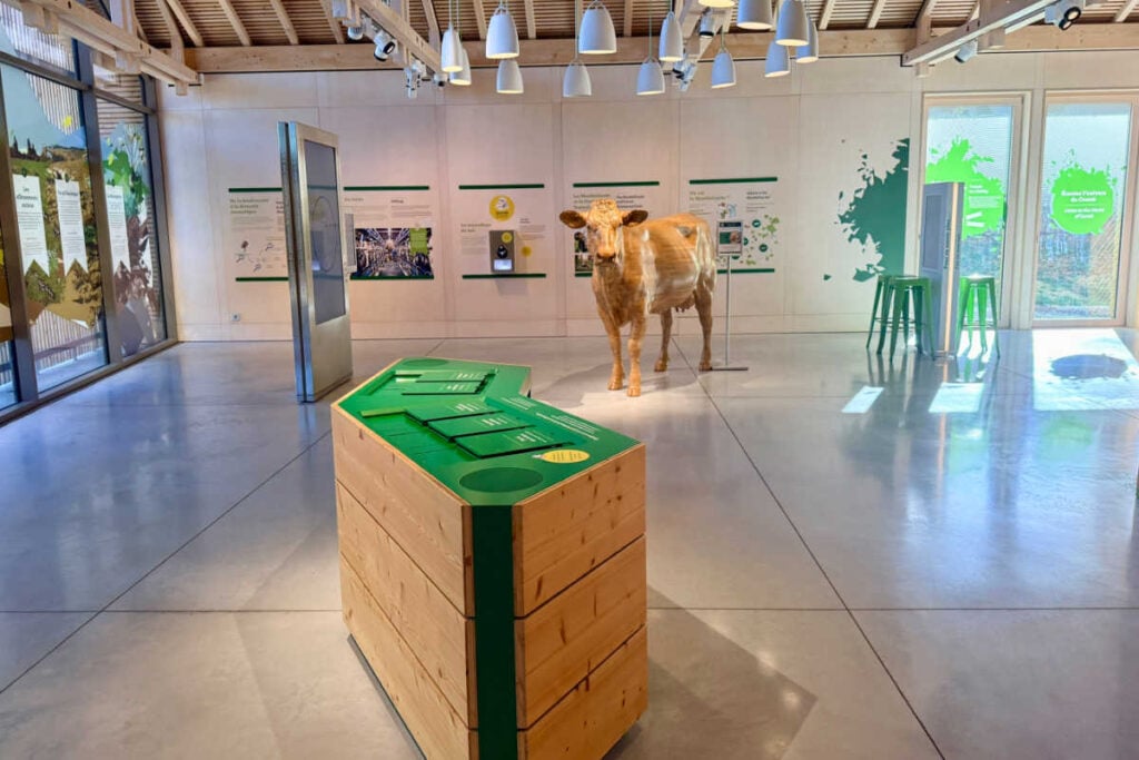 Maison de Comte cow