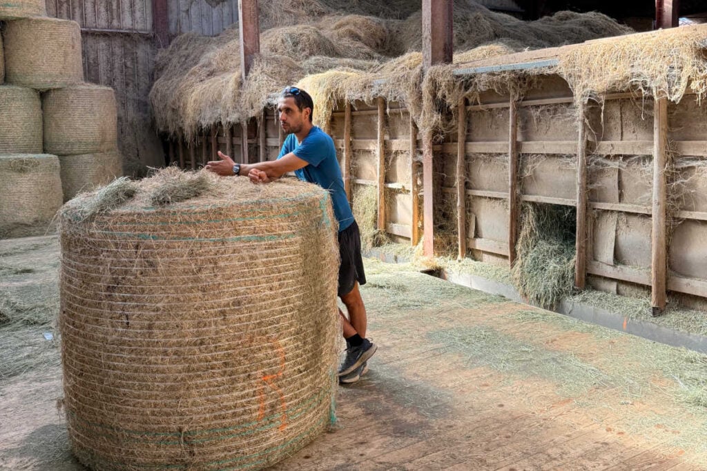 Nicolas hay barn