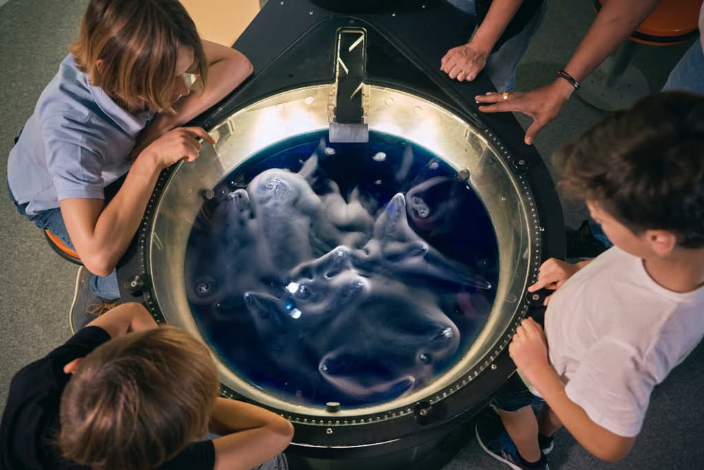 Children looking at solar system